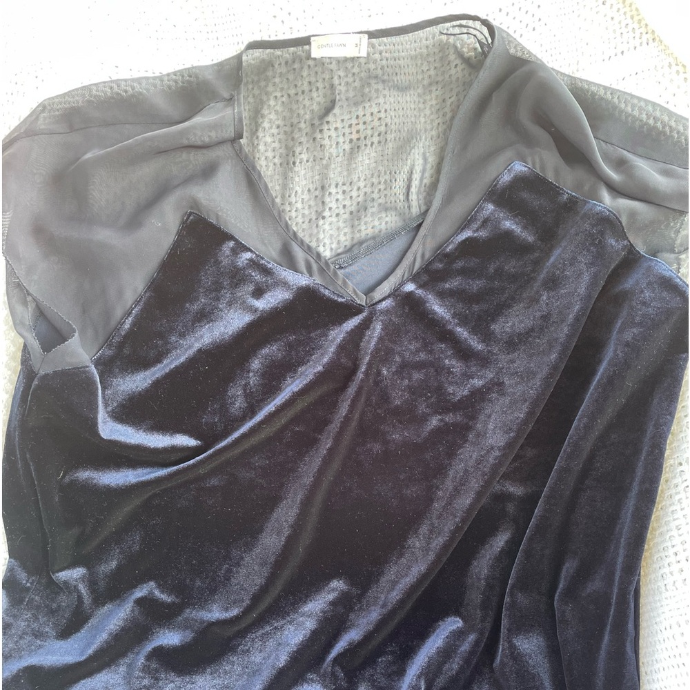 Gentle Fawn Velvet V neck sheer